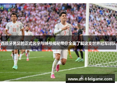 西班牙男足的正式名字与绰号揭秘带你全面了解这支世界冠军球队