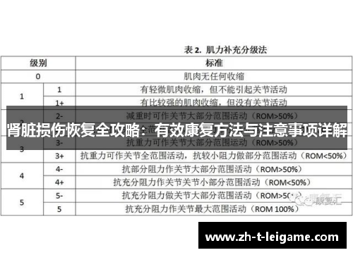 肾脏损伤恢复全攻略：有效康复方法与注意事项详解