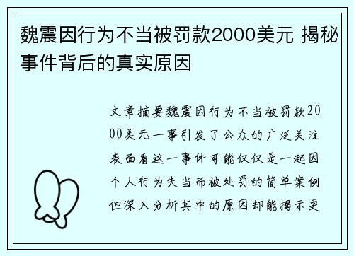 魏震因行为不当被罚款2000美元 揭秘事件背后的真实原因