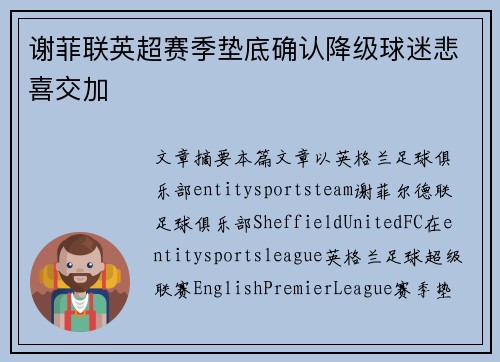 谢菲联英超赛季垫底确认降级球迷悲喜交加 谢菲联英超赛季垫底确认降级球迷悲喜交加